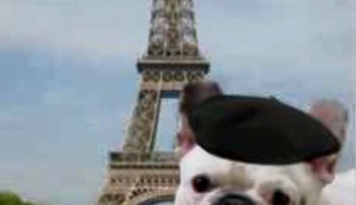 12510378_937575662958385_1191239783333361433_n