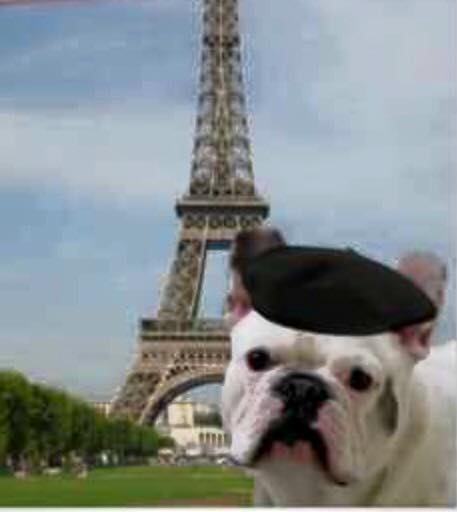 12510378_937575662958385_1191239783333361433_n